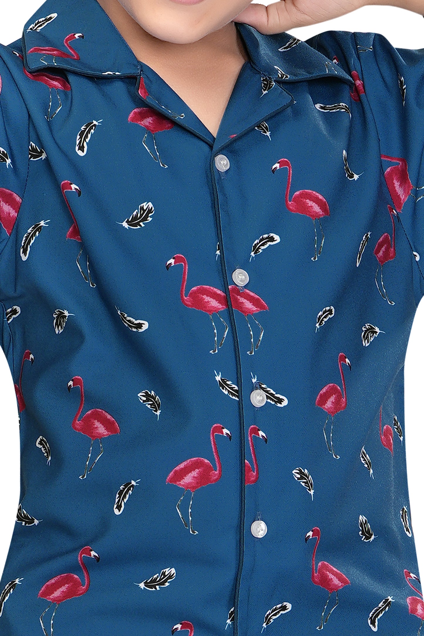 Blue-Flamingo-Print-Boys-Night-suit-set-ZoomView