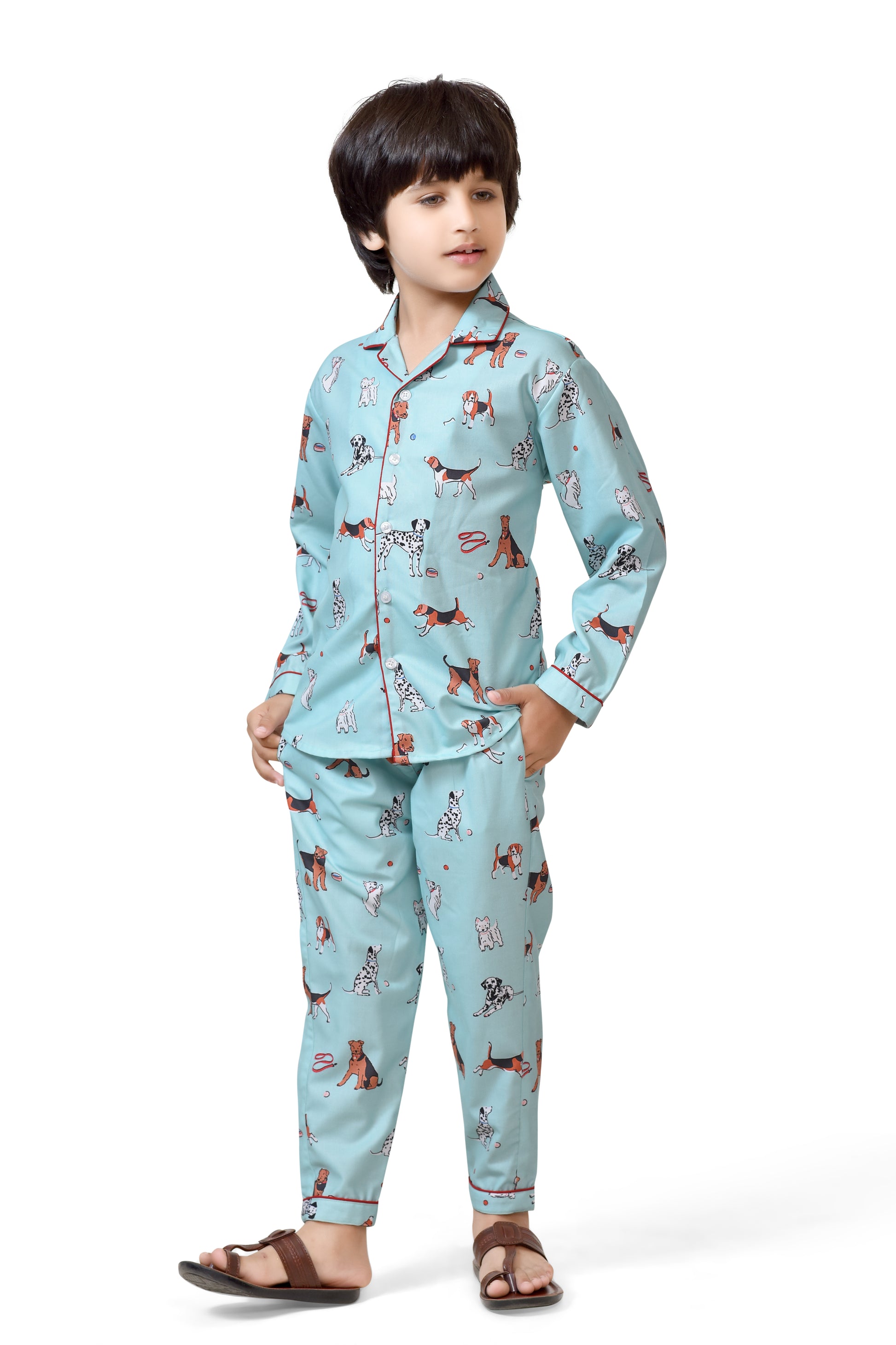 Sky Blue Color Puppy Printed Cotton Boys Night Dress - Long Sleeves