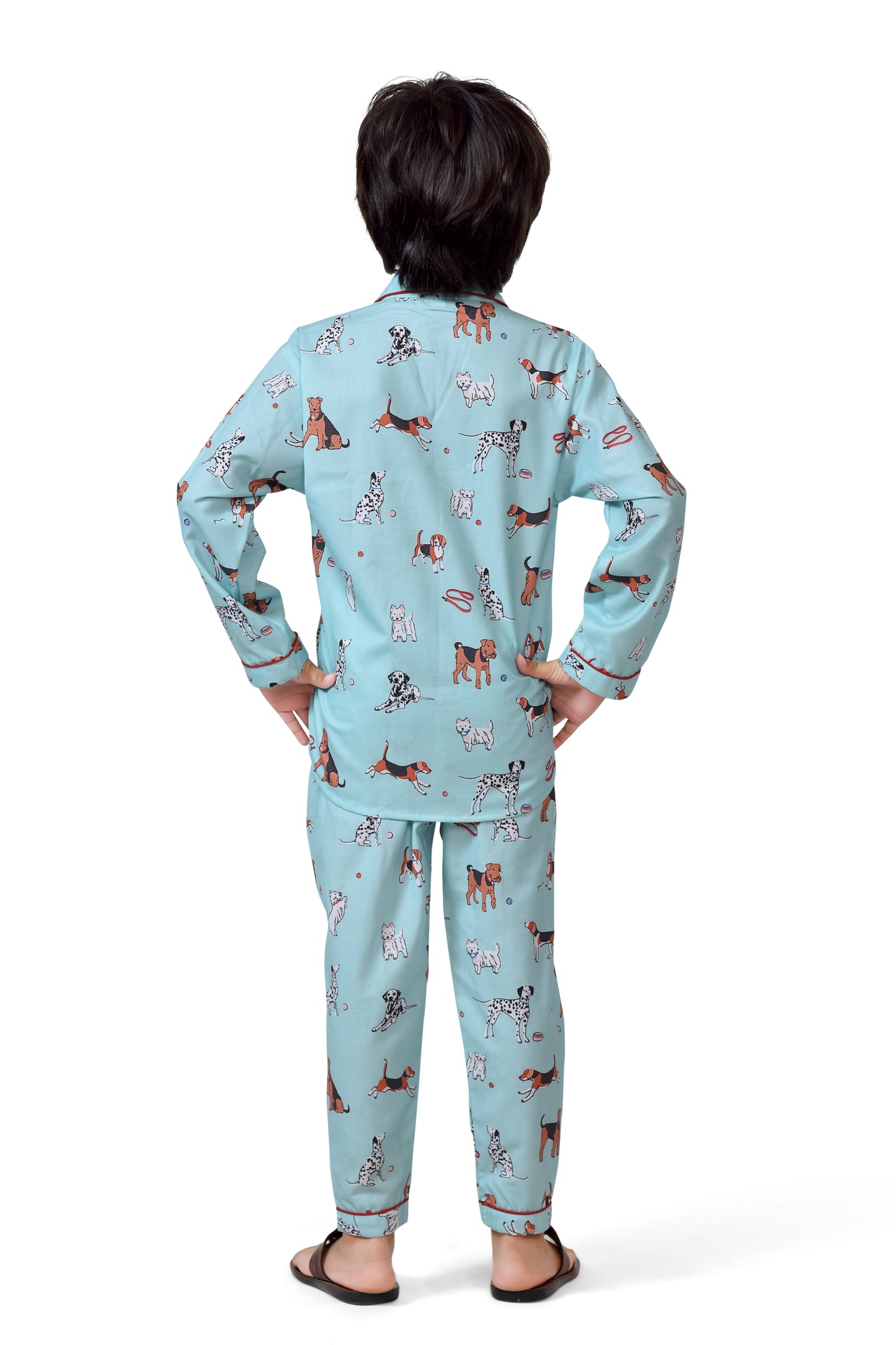 Sky Blue Color Puppy Printed Cotton Boys Night Dress - Back Side